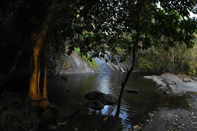 Dhoni Waterfalls